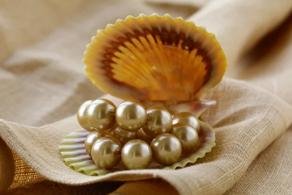 Collar de perlas en concha sobre fondo beige —  Fotos de Stock