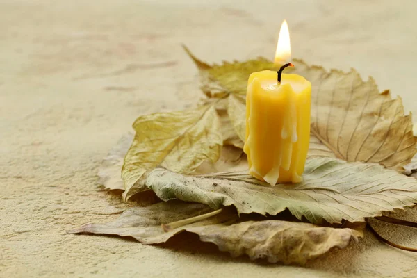 Žlutá svíčka na podzimní listy, podzimní styl — Stock fotografie