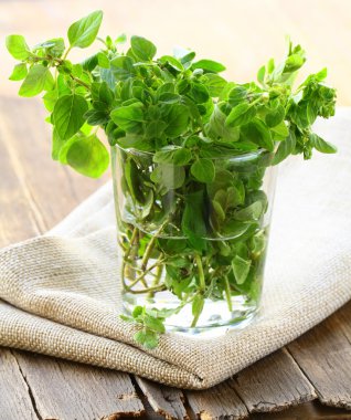 bitki yeşil taze kekik - baharat