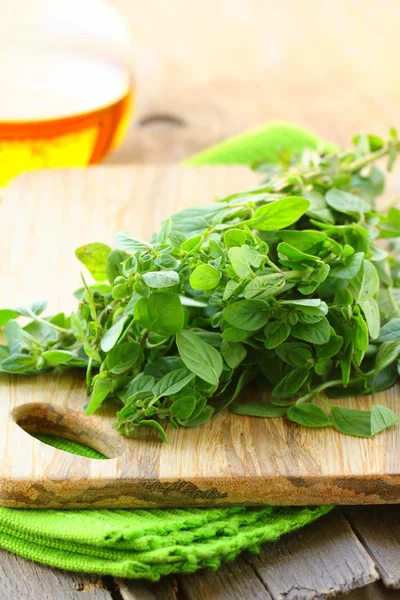 Zelené čerstvé oregano - bylinkové koření — Stock fotografie