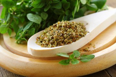 bitki yeşil taze ve kuru kekik - baharat