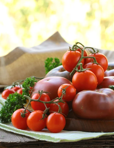 Diferentes variedades de tomates em chapa de madeira — Fotografia de Stock