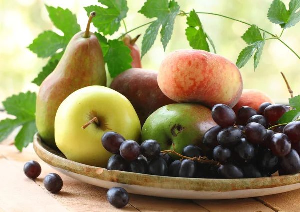Çeşitli sonbahar meyveler (armut, elma, şeftali ve üzüm) — Stok fotoğraf