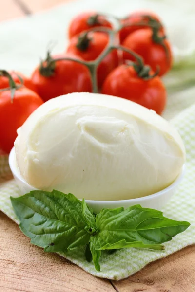 Бал сыра моцарелла с базиликом и помидорами — стоковое фото
