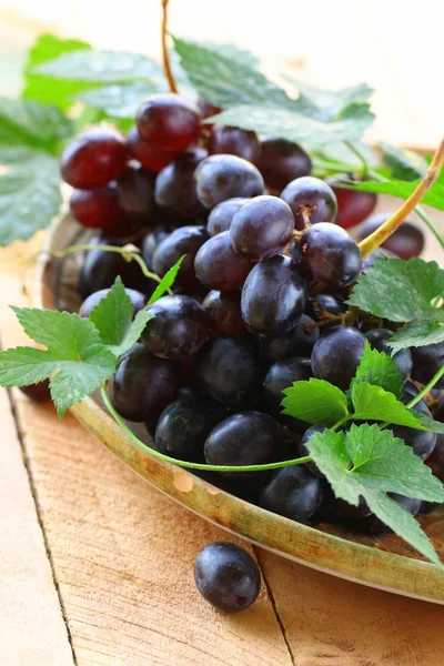 Кисть из органического черного винограда с зелеными листьями — стоковое фото