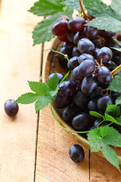 Penseel van organische zwart druiven met groene bladeren — Stockfoto
