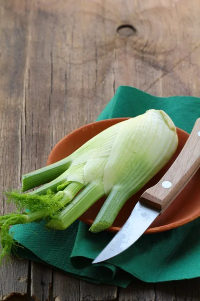 Fresh fennel on a plate of clay on the table — Stock Photo, Image