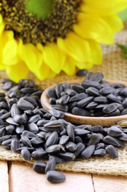 arka plan üzerinde çiçek ayçiçeği tohumu