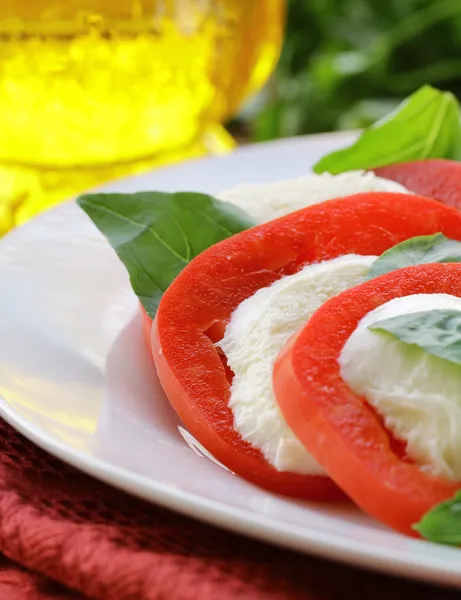 Salada italiana com queijo mussarela e tomate — Fotografia de Stock