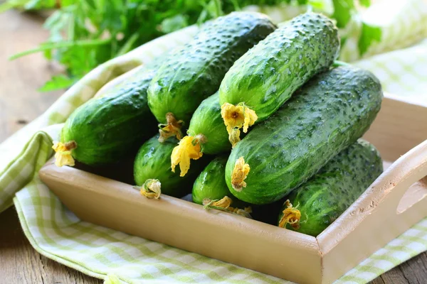 Organic fresh vegetable cucumbers on wooden box — Stock Photo, Image