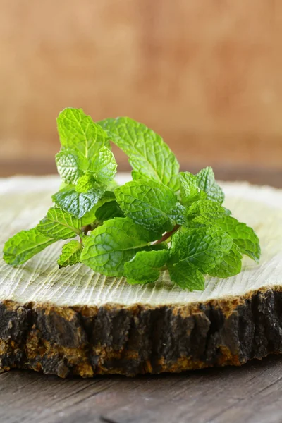 Bunch of fresh green mint on the stump — Stock Photo, Image