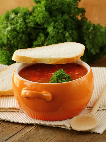 Traditional Russian Ukrainian food soup borscht — Stock Photo, Image