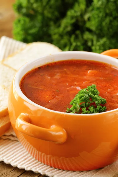 Traditional Russian Ukrainian food soup borscht — Stock Photo, Image