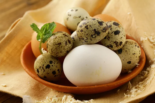 Huevos de pollo y codorniz, estilo rústico — Foto de Stock
