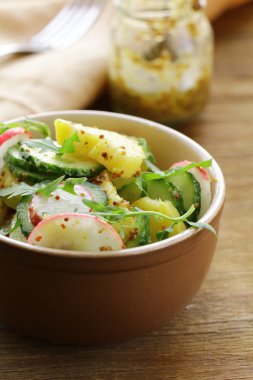 hardallı patates salatası salatalık ve turp giyinmiş