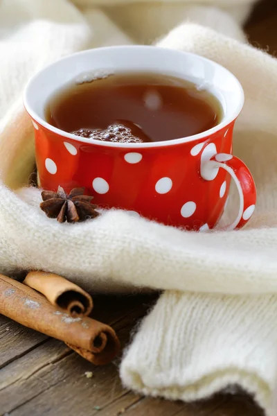 Tea with spices - cinnamon, a carnation and an anise — Stock Photo, Image