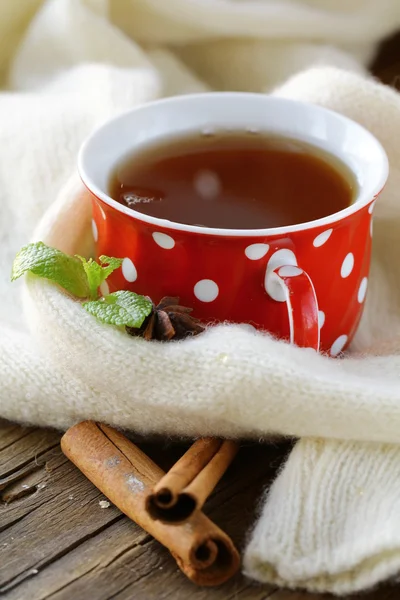 Tea with spices - cinnamon, a carnation and an anise — Stock Photo, Image