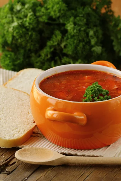 Traditional Russian Ukrainian food soup borscht — Stock Photo, Image