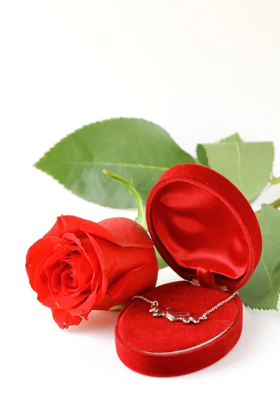 Fresh roses and gifts for the holiday Valentines Day — Stock Photo, Image