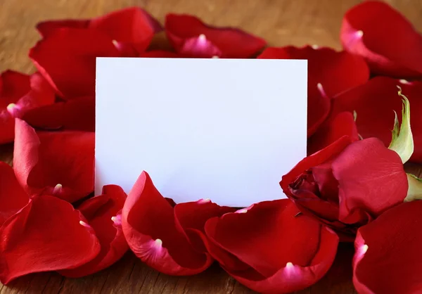 Petals of a red rose and a card for recording — Stock Photo, Image