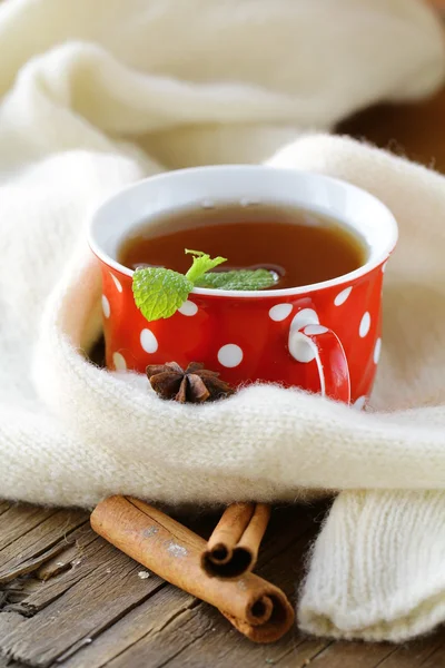 Tea with spices - cinnamon, a carnation and an anise — Stock Photo, Image