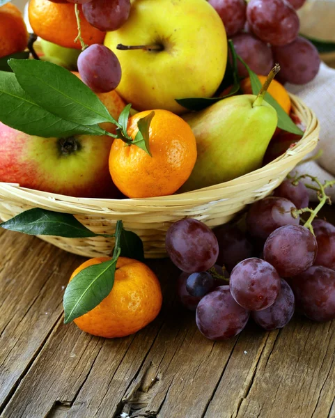 Olika höst frukt (päron, äpplen, mandarin och druvor) — Stockfoto