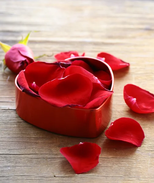 Petali di rose rosse in una scatola — Foto Stock