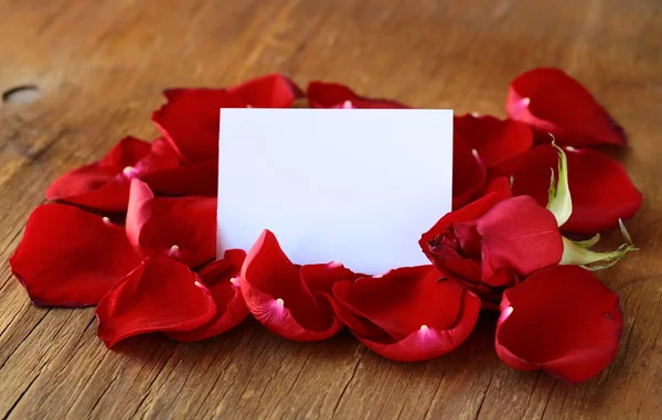 一朵红玫瑰和一张记录卡的花瓣 — 图库照片