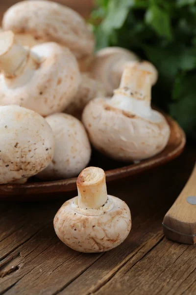 Verse champignon champignons op een houten tafel — Stockfoto