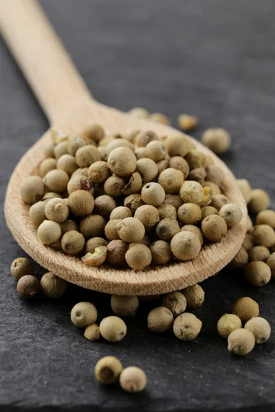 Grain white pepper in a wooden spoon — Stock Photo, Image