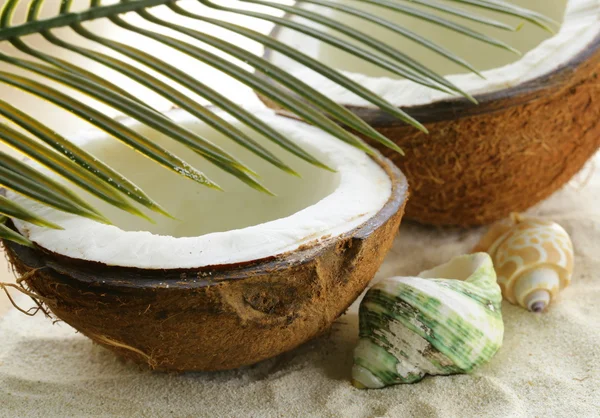 Fresh coconut on beach sand and seashells — Stock Photo, Image