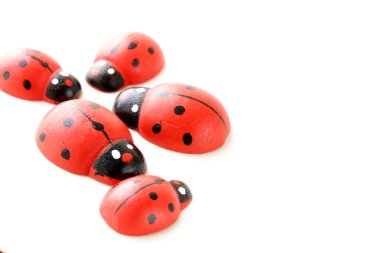 ahşap ladybugs sembolü bahar