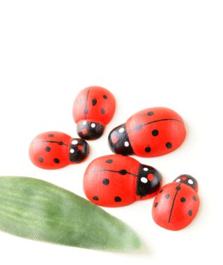 ahşap ladybugs sembolü bahar
