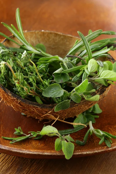 Various herbs spices (rosemary, thyme, oregano) — Stock Photo, Image