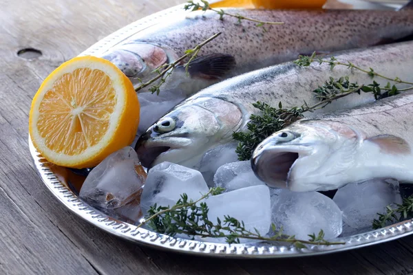 Свежая сырая рыбная форель со льдом и тимьяном — стоковое фото