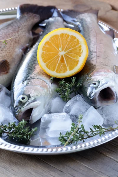 Fresh raw fish trout on ice with lemon and thyme — Stock Photo, Image