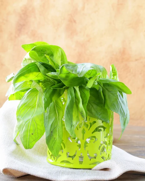 Fresh organic green basil in metal pot — Stock Photo, Image