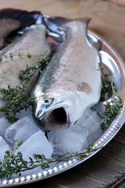 Fresh raw fish trout on ice with lemon and thyme — Stock Photo, Image