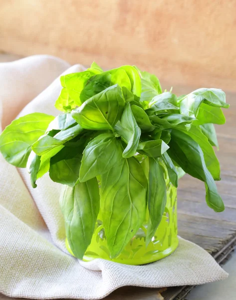 Kemangi hijau organik segar dalam pot logam — Stok Foto