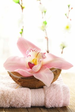 Spa Konsept - pembe orkide ahşap zemin