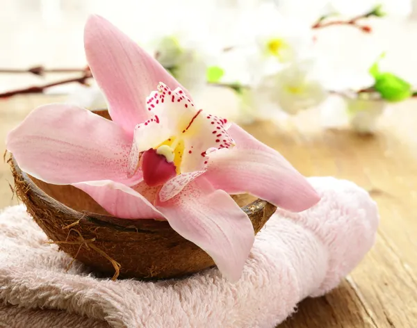 Spa concept - pink orchid on a wooden background Royalty Free Stock Photos
