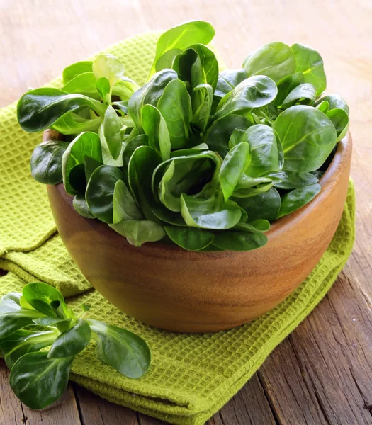 Fresh green salad valerian in a wooden bowl — Stock Photo, Image