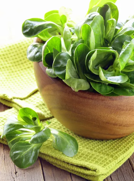 Fresh green salad valerian in a wooden bowl — Stock Photo, Image