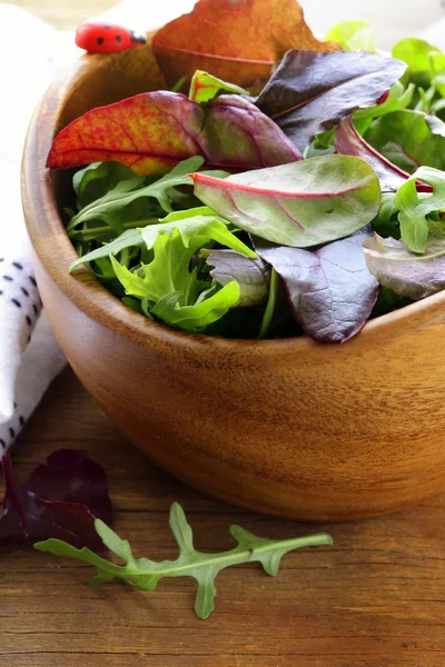 Misture a salada (arugula, iceberg, beterraba vermelha) em um boliche — Fotografia de Stock