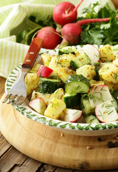 Potato salad with cucumber and radish — Stock Photo, Image