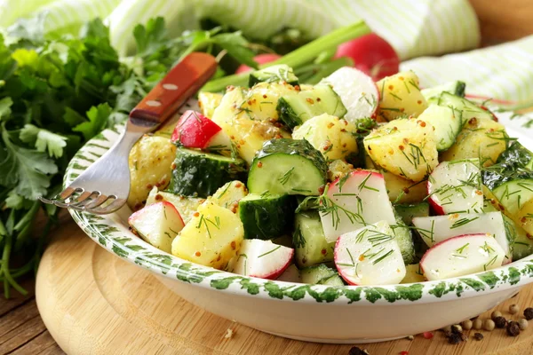 Potatissallad med gurka och rädisor — Stockfoto