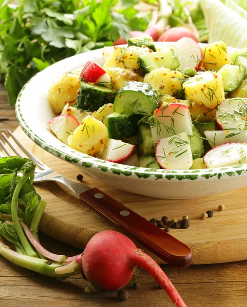 Kartoffelsalat mit Gurken und Rettich — Stockfoto