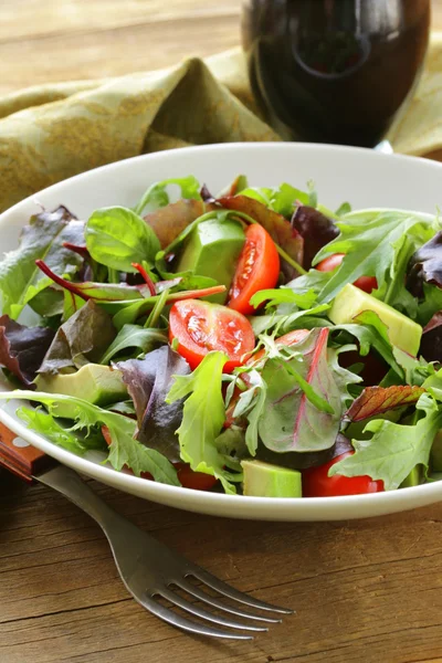 Salata karışımı avokado ve salatalık, balzamik sos ile — Stok fotoğraf