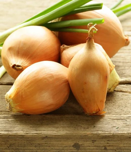 Fresh onions green and shallot on a wooden background — Stock Photo, Image