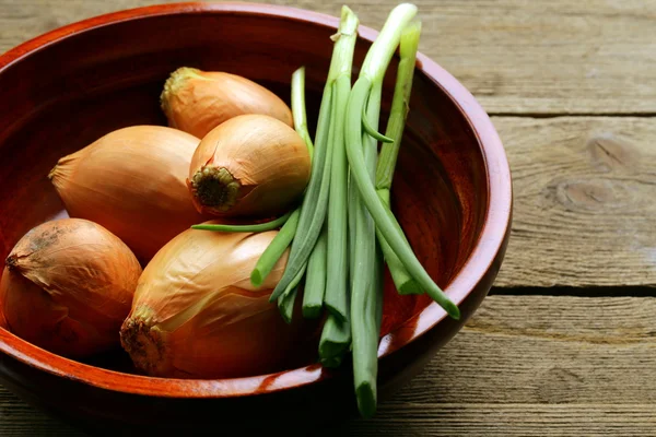 Fresh onions green and shallot on a wooden background — Stock Photo, Image